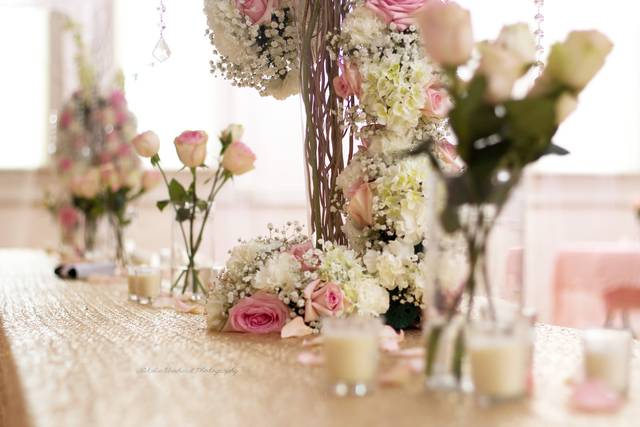 Natalie Eberhard Photography