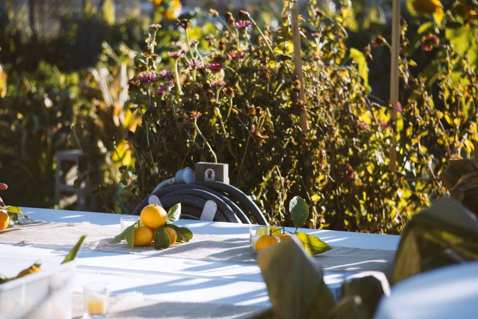 Citrus Centerpiece