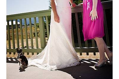 Dave Keating Photography