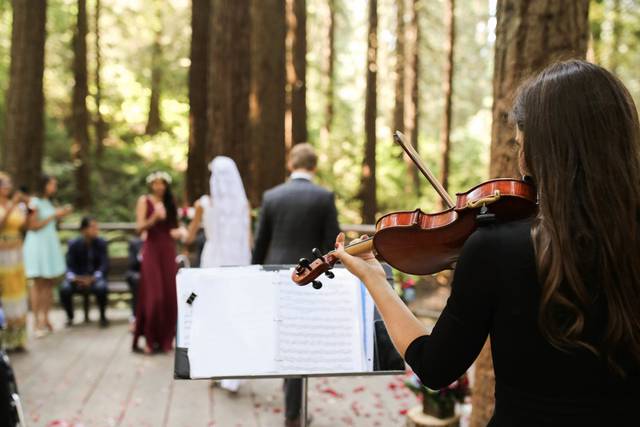 Kate Lupton - PDX Violinist