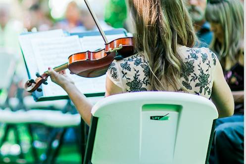 The Violin Kat - Musician in Boston, MA - Zola