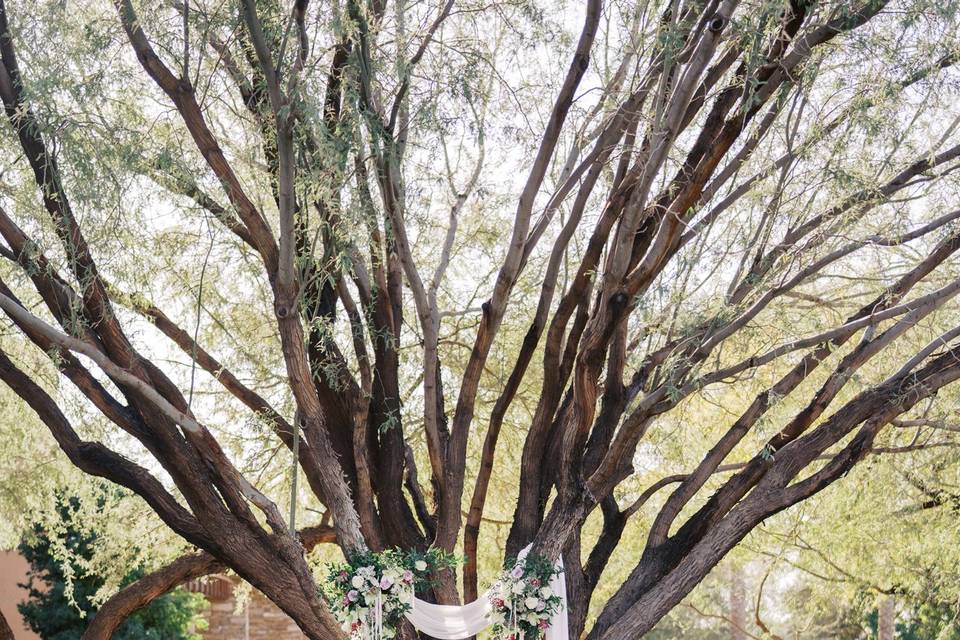 Kiva Club Weddings