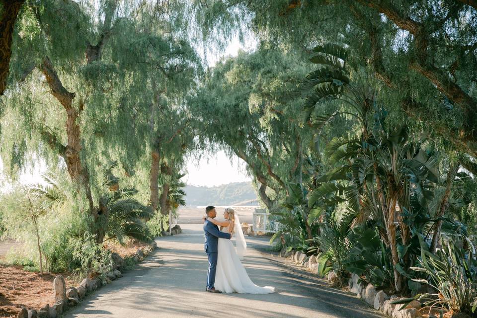 Couple in the trees