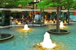 Avanti Ristorante