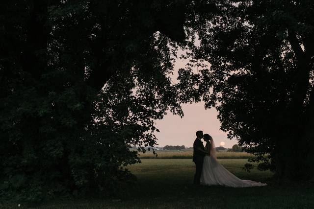 Brian Davis Photography