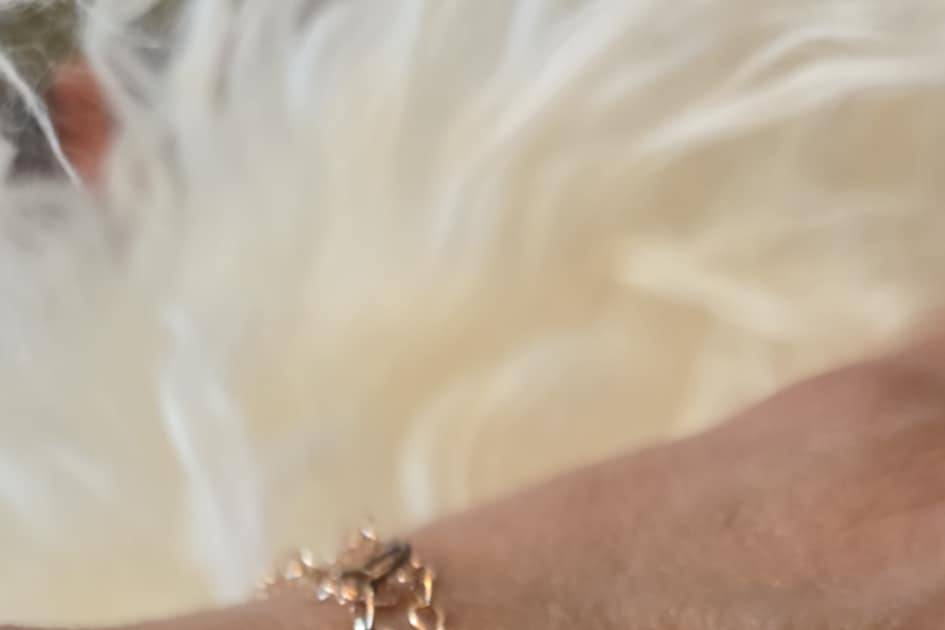 Lasting Links, LLC