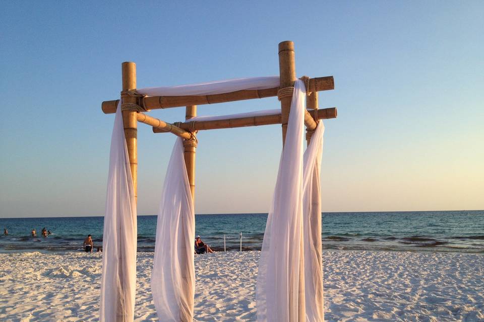 Aisle Marry You- Athens Efficient Officiant