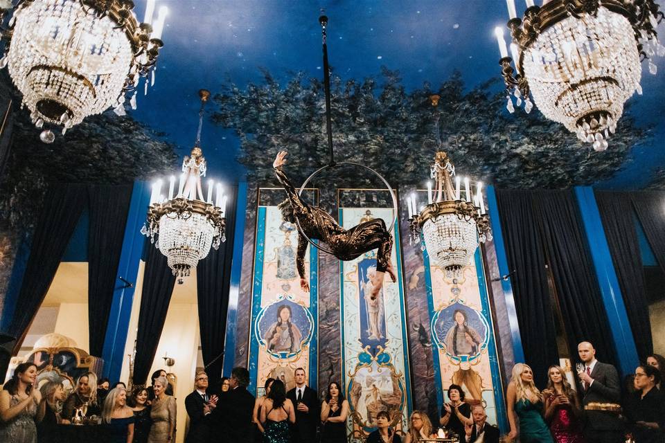 Ballroom Aerialist