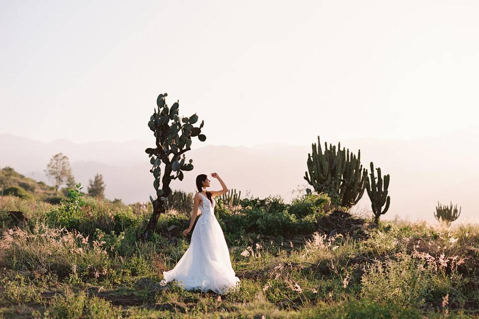 Allure Brides