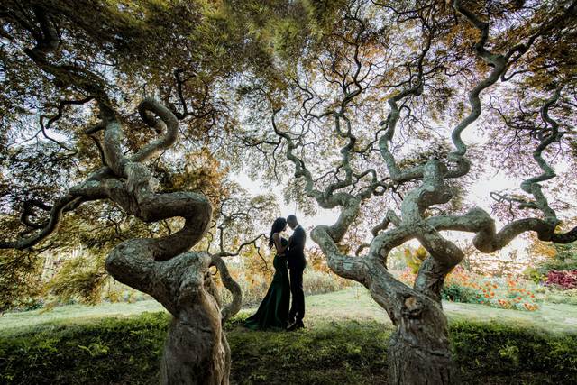 Bruno Sauma Photography