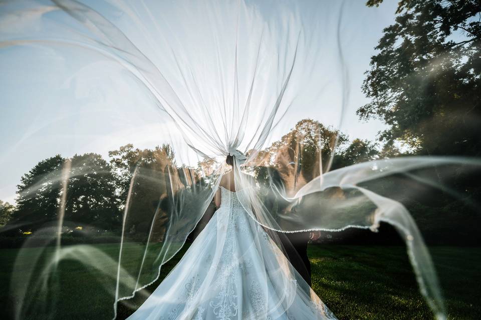 Bruno Sauma Photography