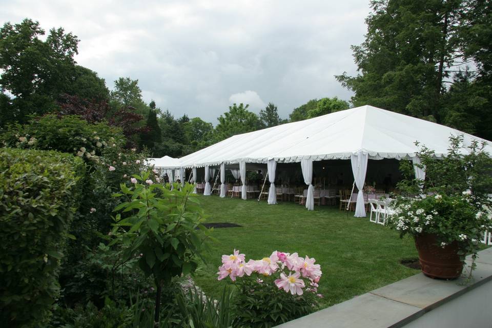 Anthony Party Rentals