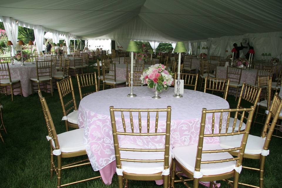 Anthony Party Rentals