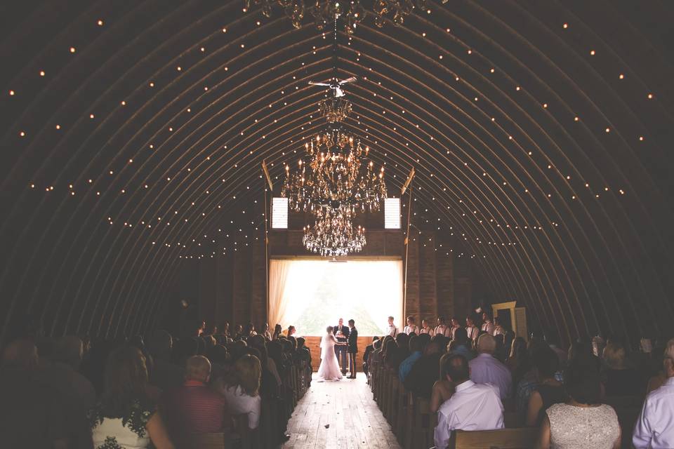 Taylor Ollason Photography