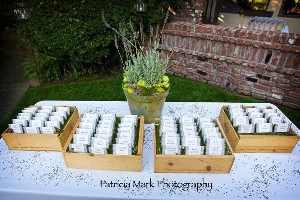 Table setup with centerpiece