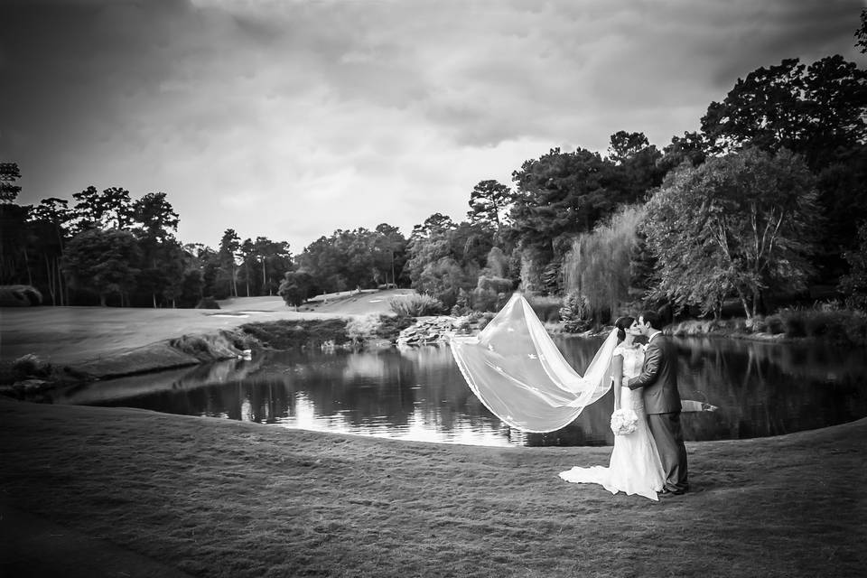 Three Seventeen Photography