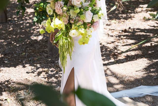 Florecitas