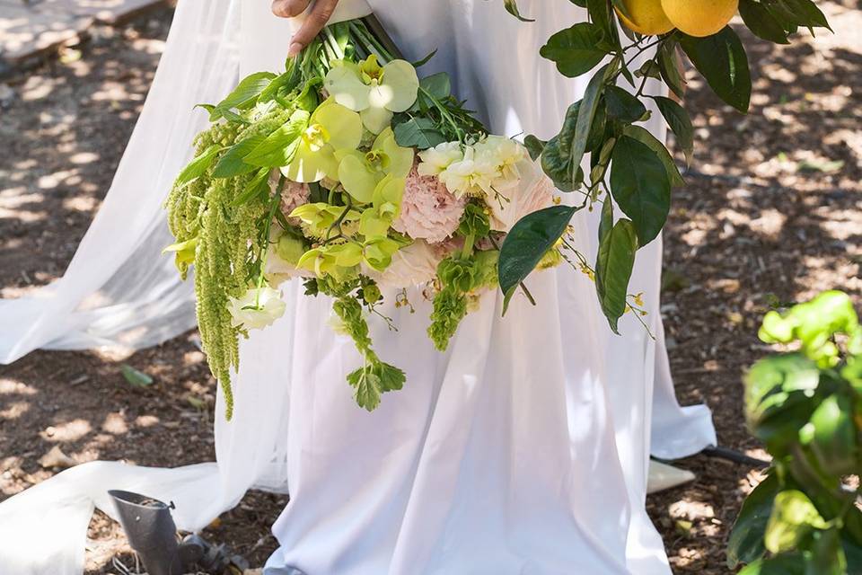 Florecitas