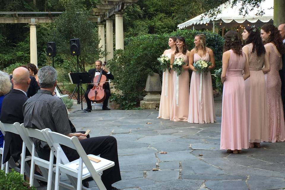 Playing at a wedding