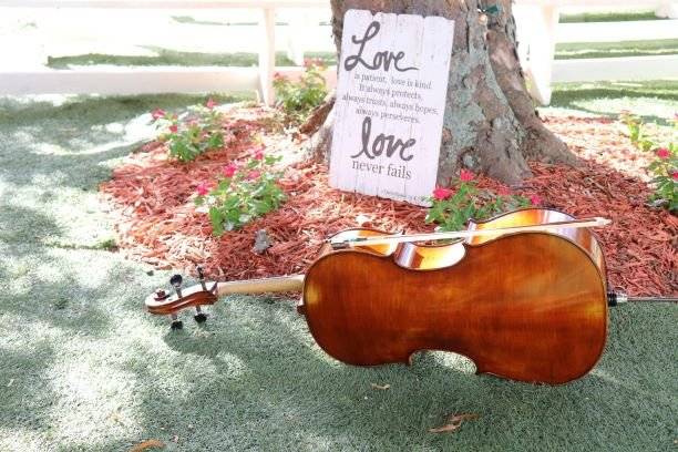 Wedding Cello