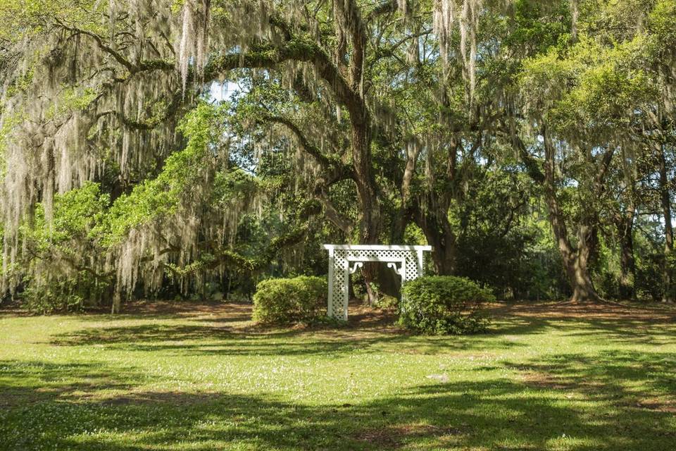 Wedding Garden