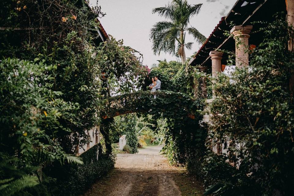 Hacienda Siesta Alegre