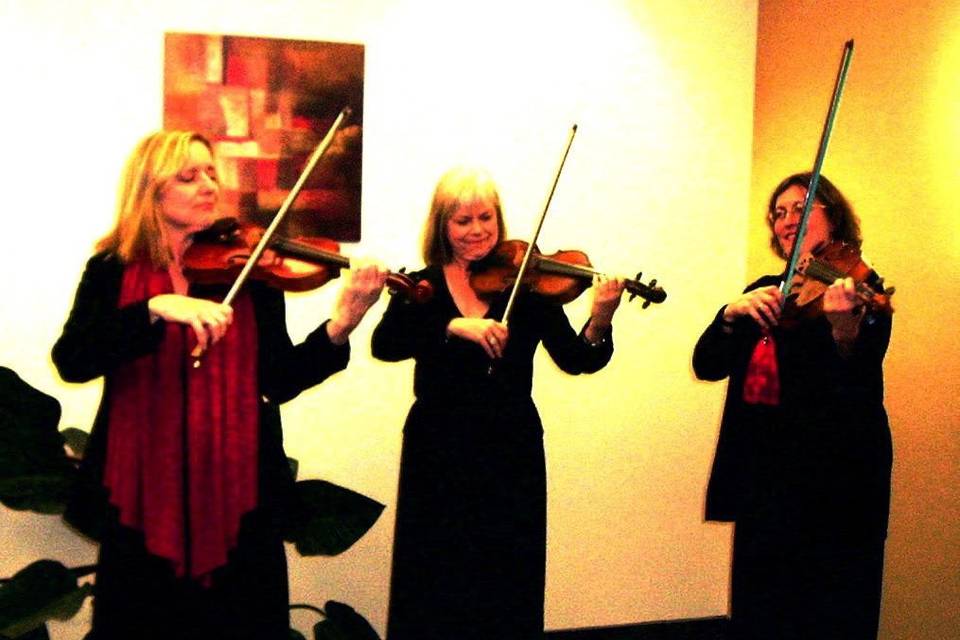 Skyline Trio can be either traditional string trio or strolling violins - elegant and versatile.  Able to stroll tables or stand in the background, indoors and out