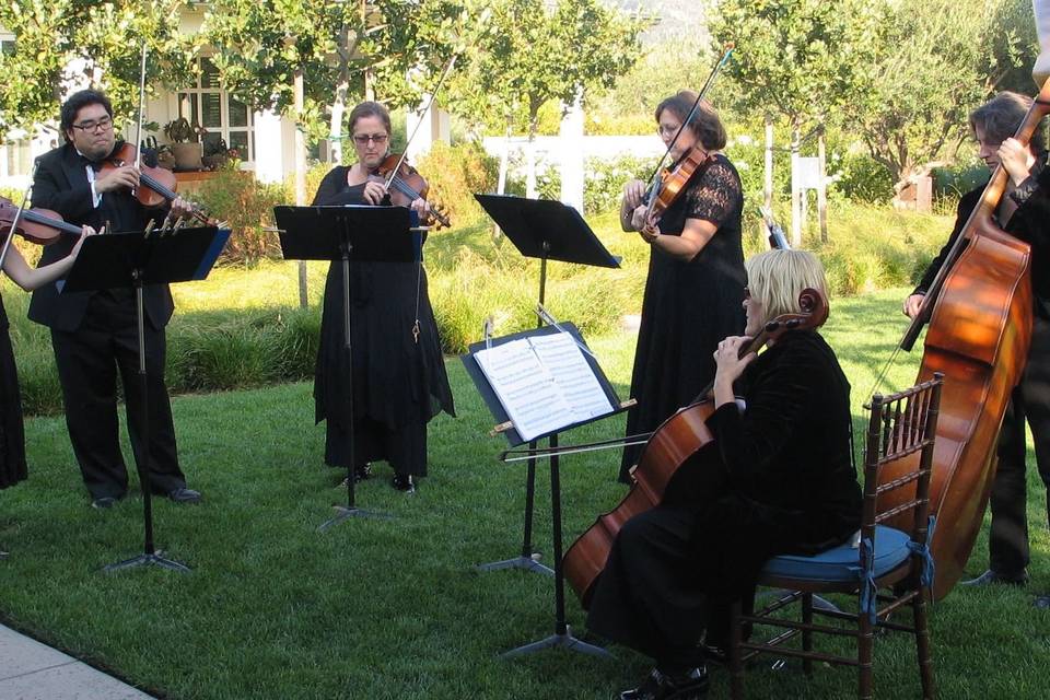 Vlazville Music's Skyline ensembles expand from 2-6 players--seen here at Calistoga Ranch