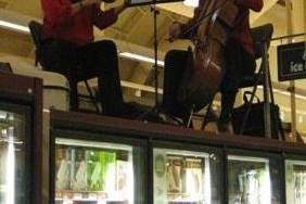 Vlazville Music's musicians have played in every possible situation (Mill Valley Whole Foods freezers for Christmas)