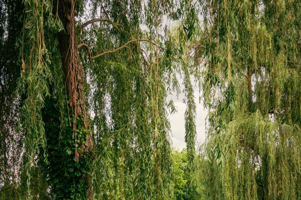 Outdoor Engagement Session