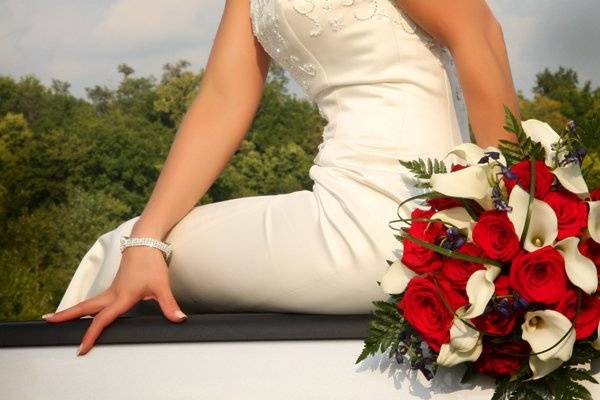 Bridal Portrait