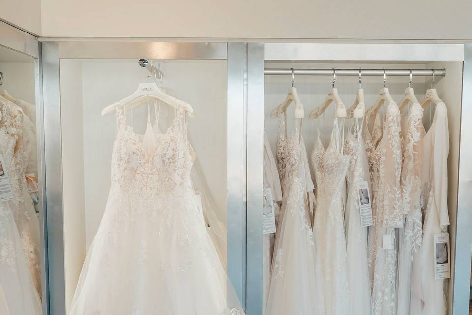 Wedding dress collection
