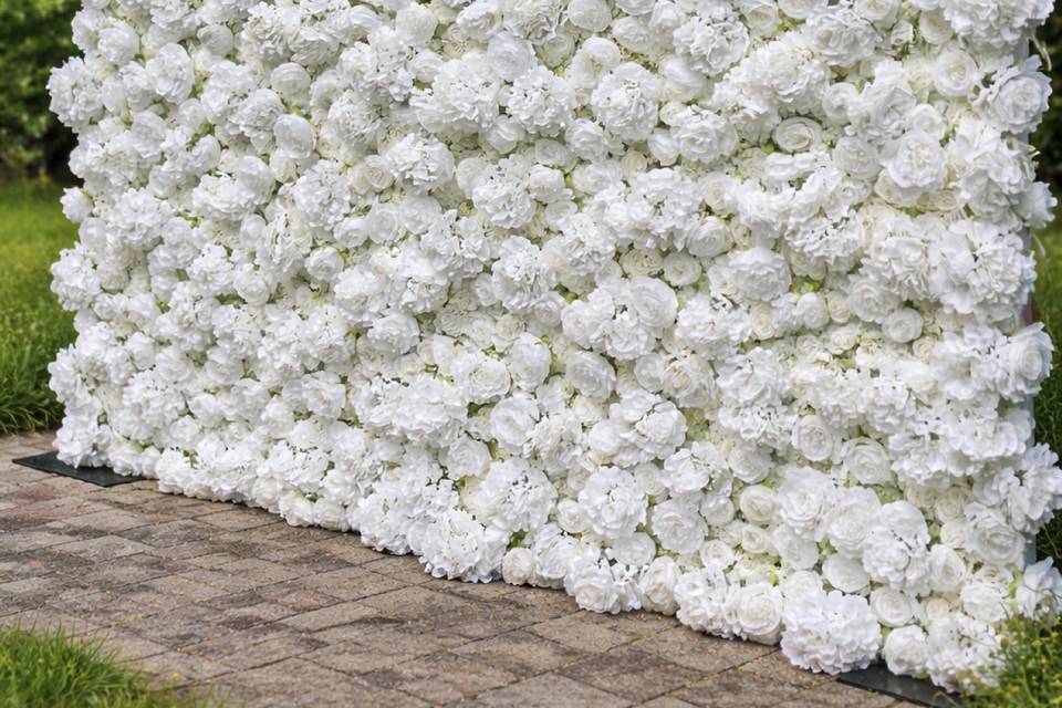 blanc for knot.PNG