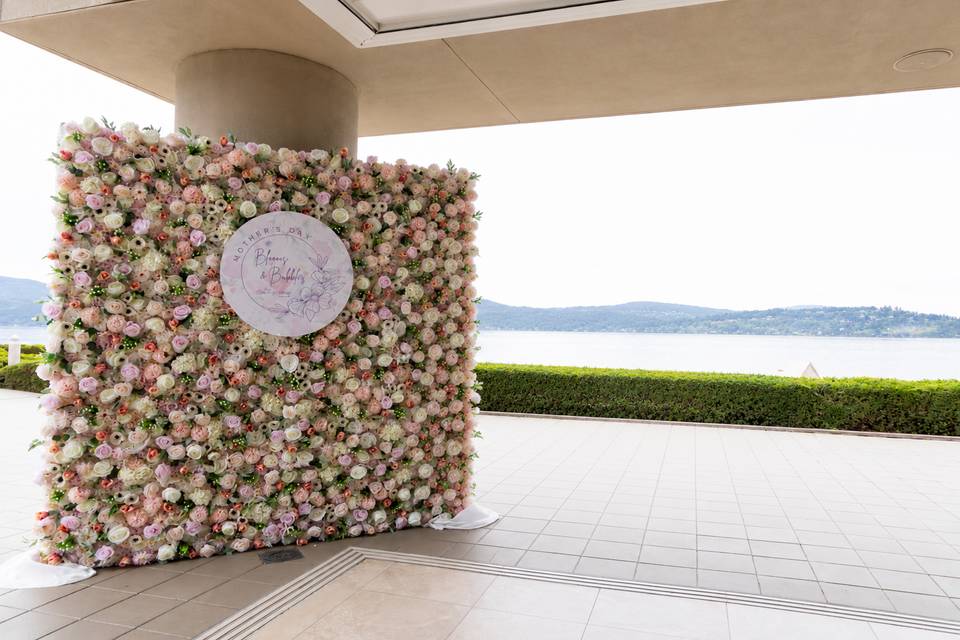 Pink Champagne Garden Wall