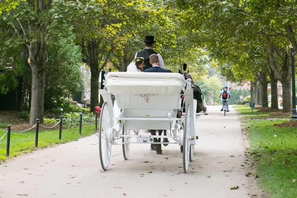 Carriage ride