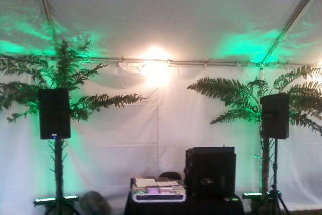 Wag's DJ Service