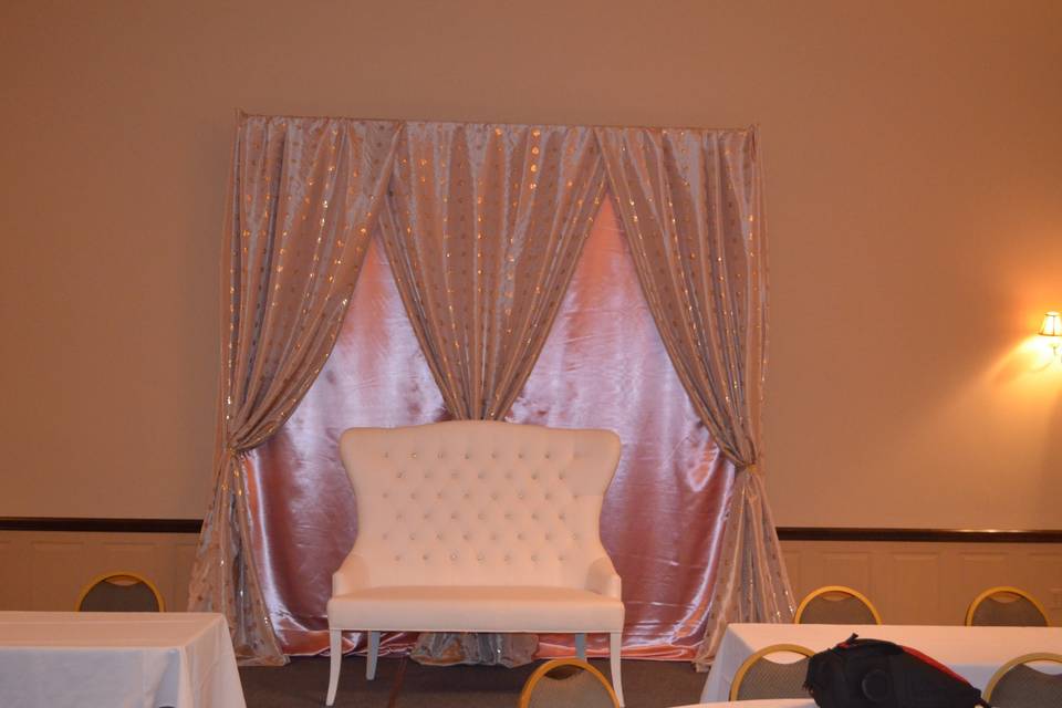 Blush Champagne Backdrop