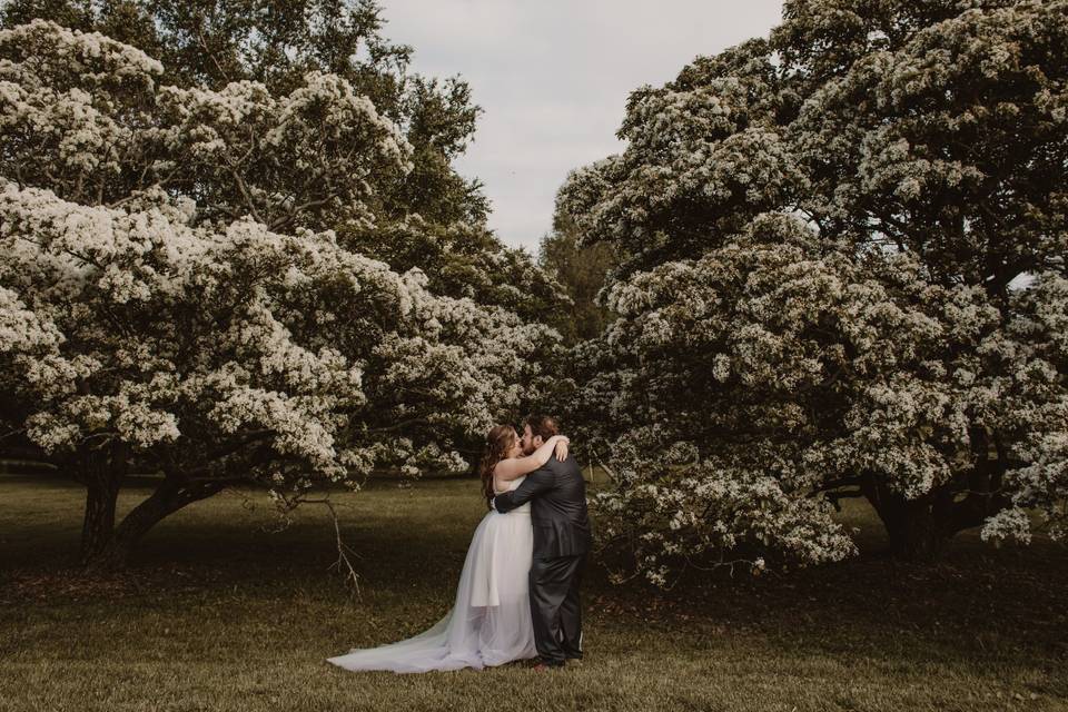 Cylburn Arboretum Wedding
