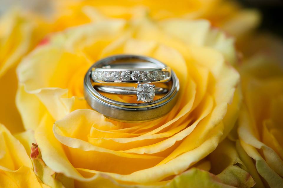 John Adams Photography - Wedding rings