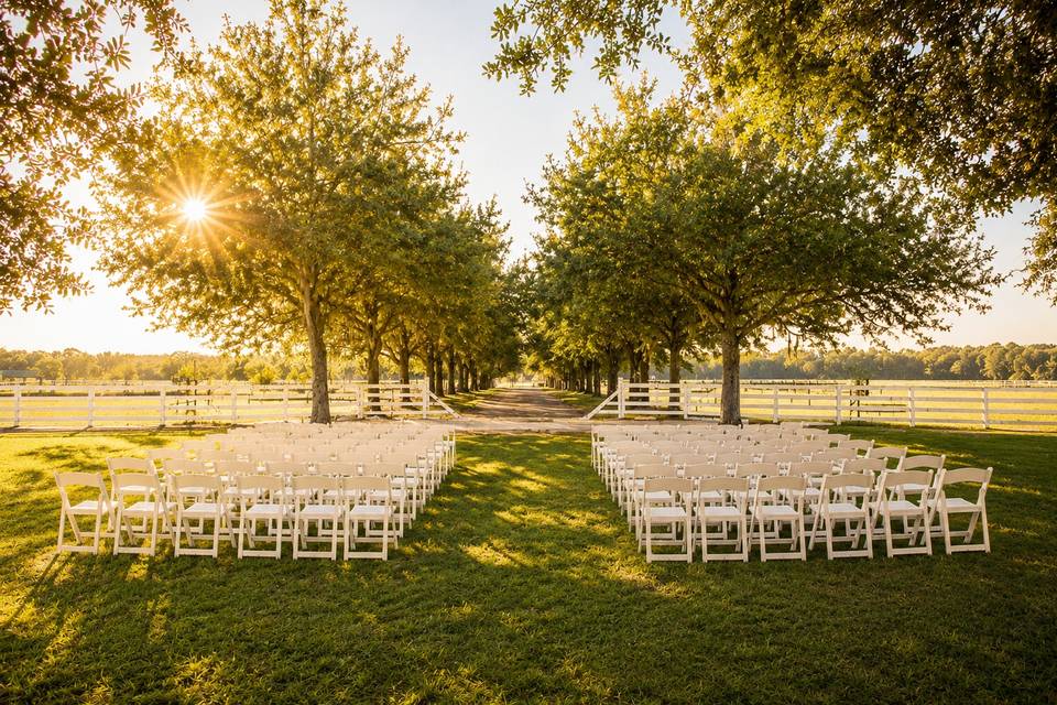 Front Lawn