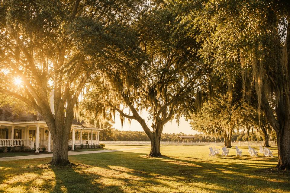 Front lawn