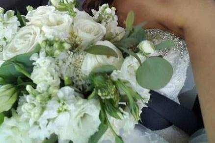 Jenny H Beauty