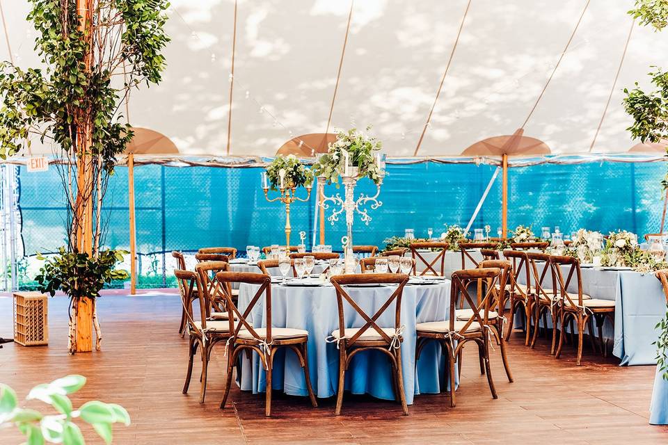 Backyard wedding reception