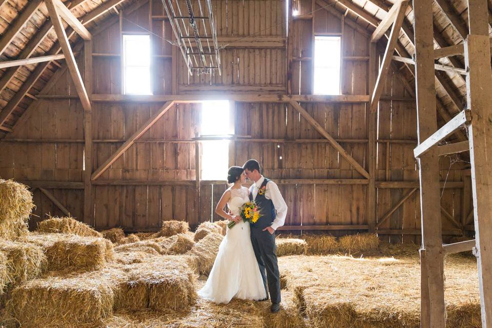 Looking into one another's eyes - Midwest LifeShots Photography