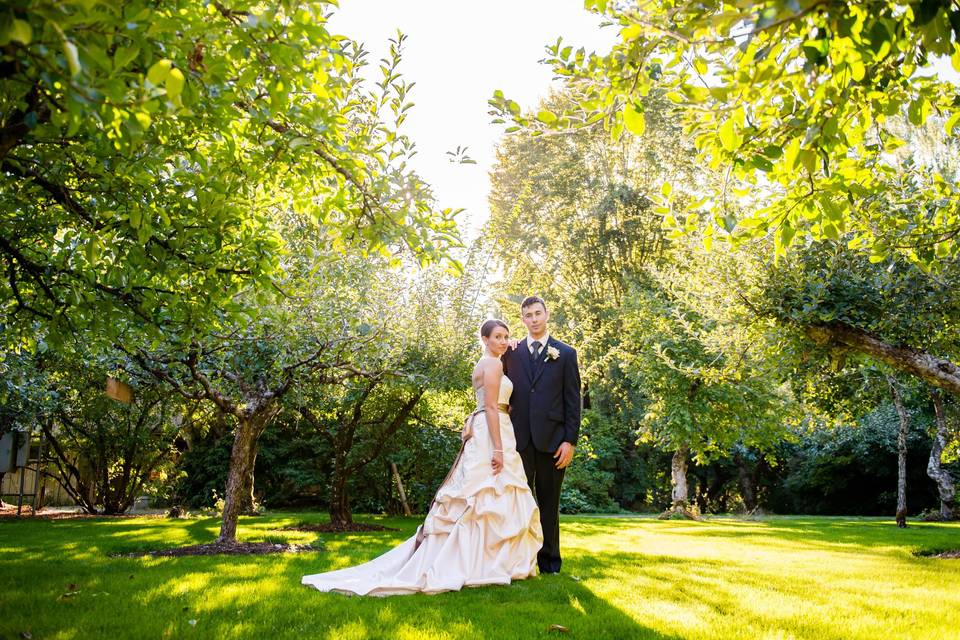 Beautiful bride and groom in the orchards at Albee's Garden Parties in Olympia, WA