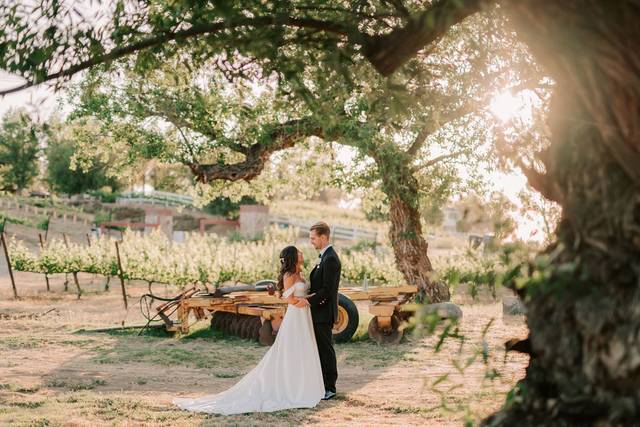 Lorimar Winery