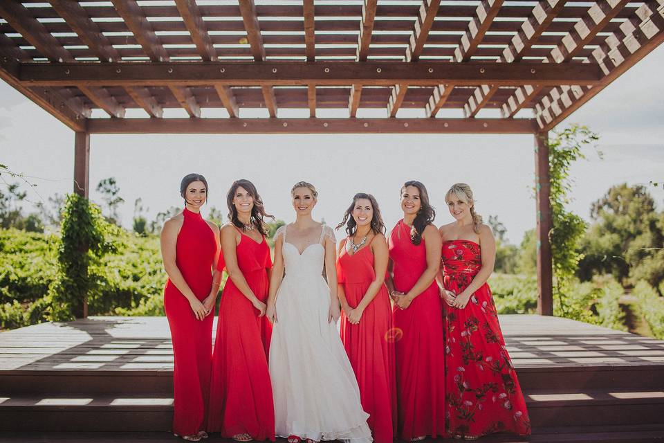 The bride with her bridesmaids