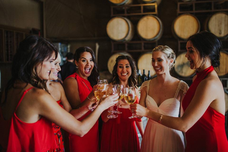 The bride with her bridesmaids