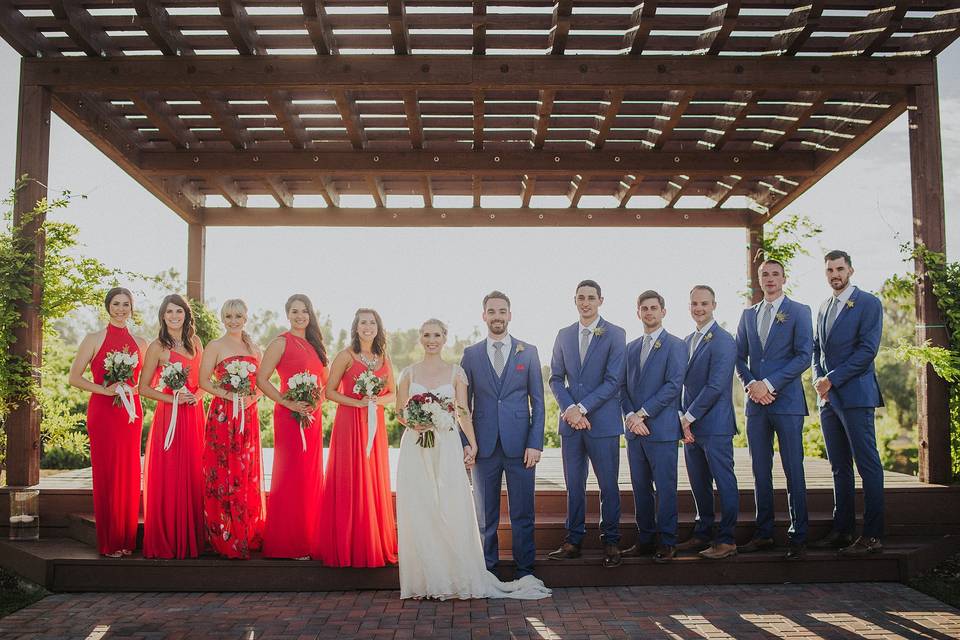 The couple with the bridesmaids and groomsmen