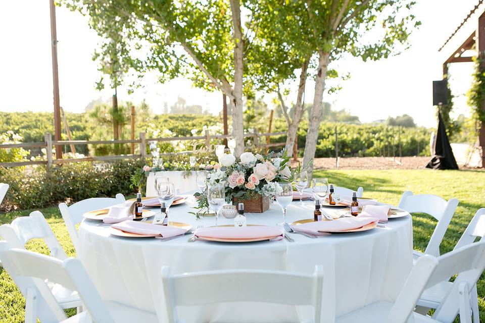 Table setup with centerpiece